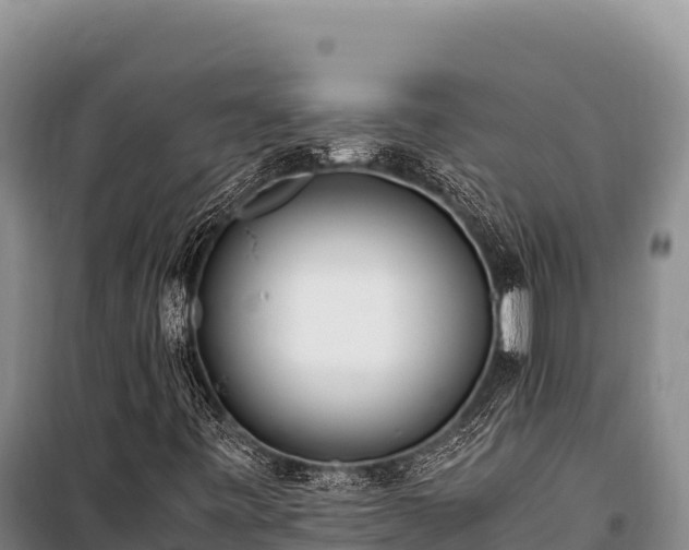 X0000100861443200806271148