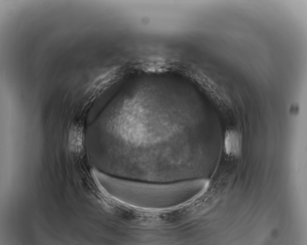 X0000100861444200806271148