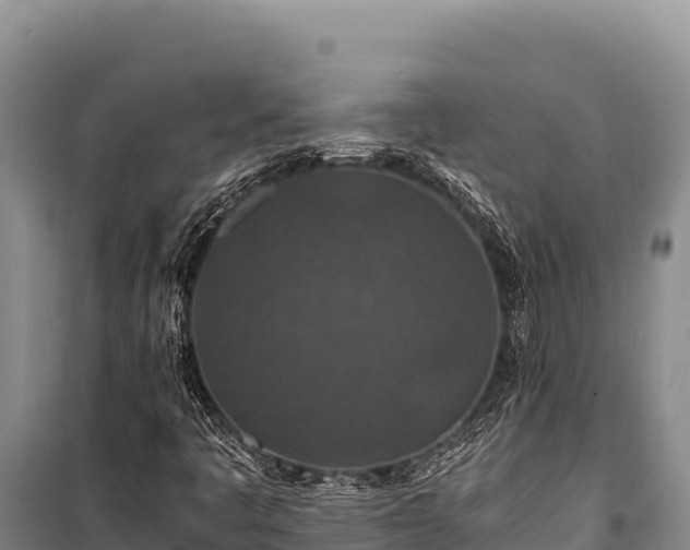 X0000100861445200806271148