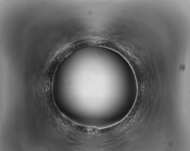 X0000100861447200806271148