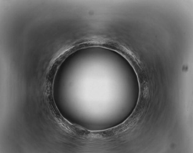 X0000100861448200806271148