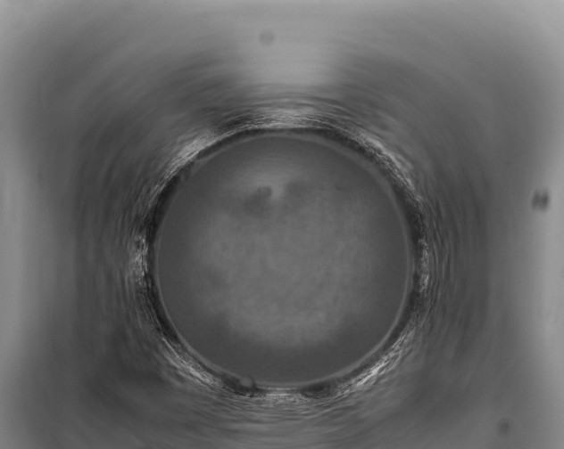 X0000100861449200806271148