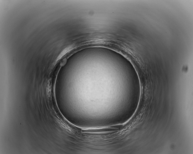 X0000100861450200806271148