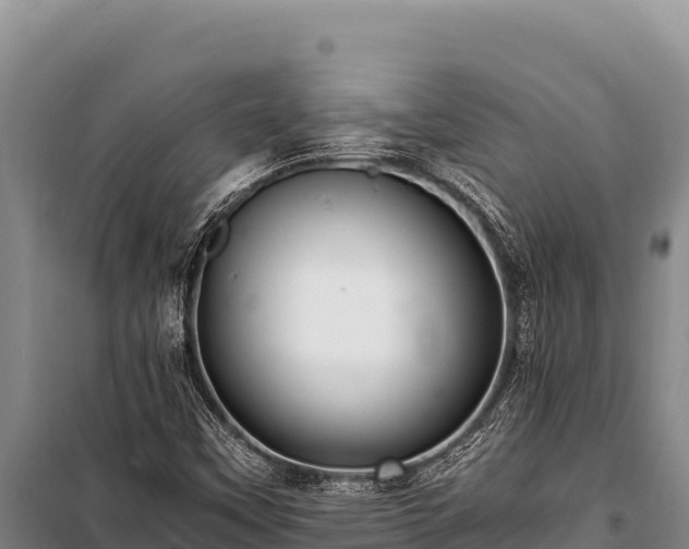 X0000100861451200806271148