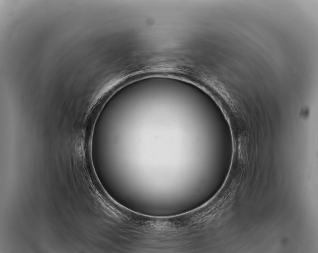 X0000100861452200806271148