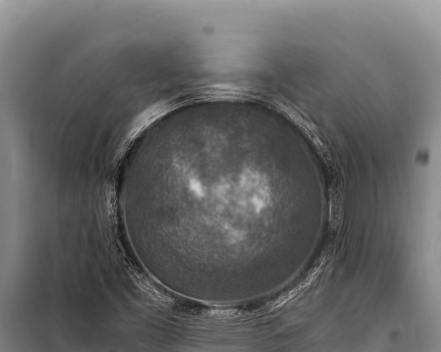 X0000100861453200806271148