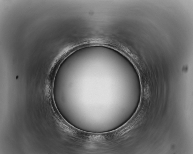 X0000100861454200806271148