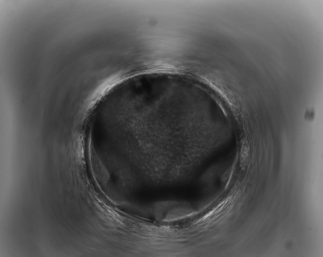 X0000100861455200806271148