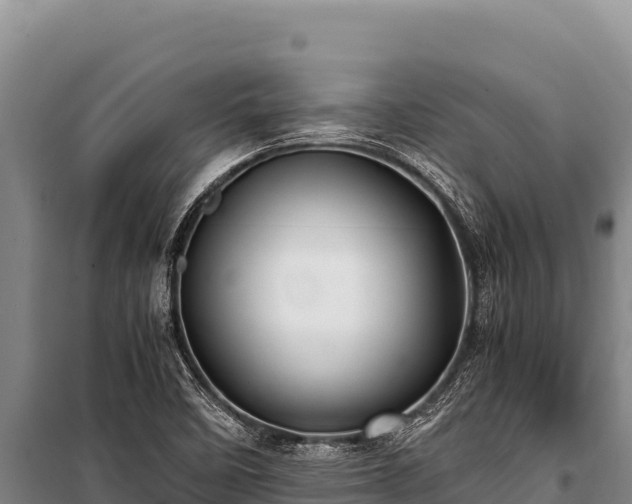 X0000100861458200806271148