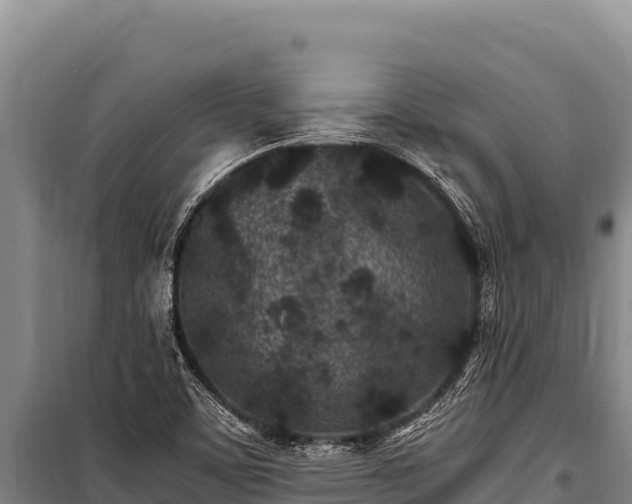 X0000100861459200806271148