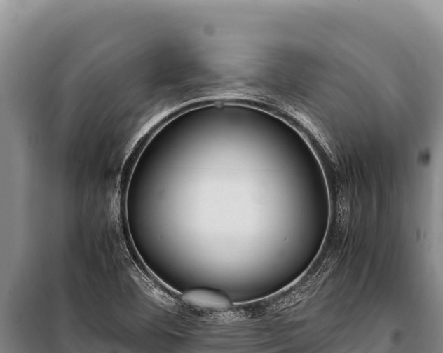 X0000100861460200806271148