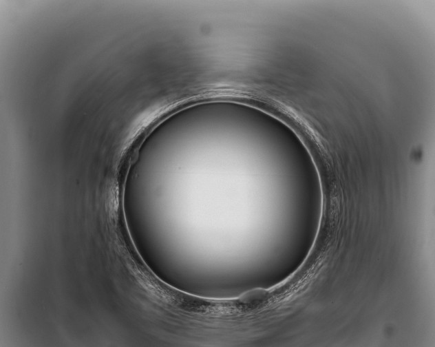 X0000100861461200806271148