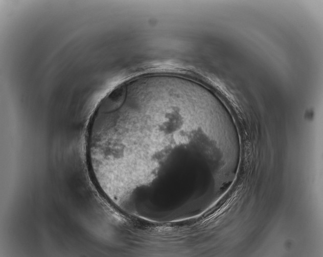 X0000100861463200806271148