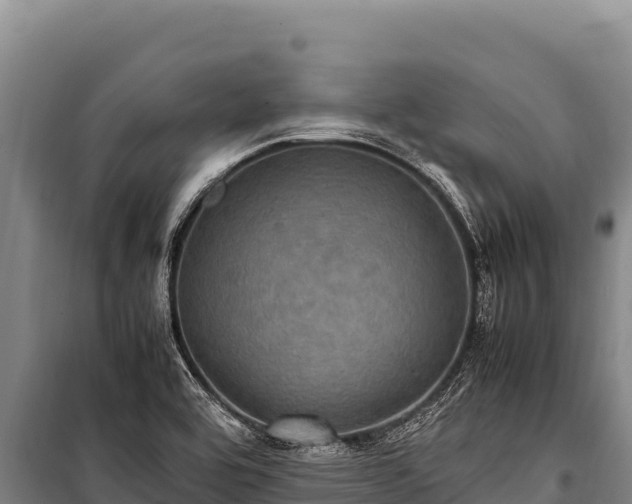 X0000100861464200806271148