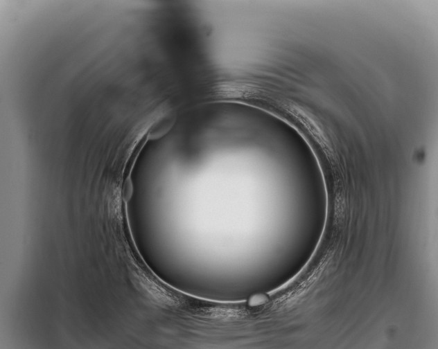 X0000100861465200806271148