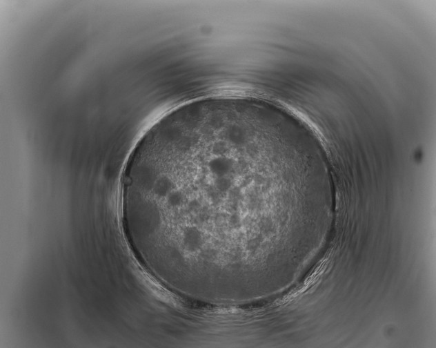 X0000100861467200806271148