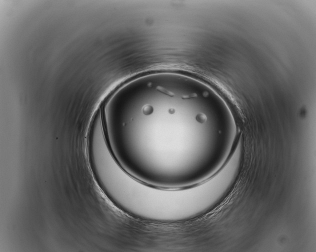 X0000100861468200806271148