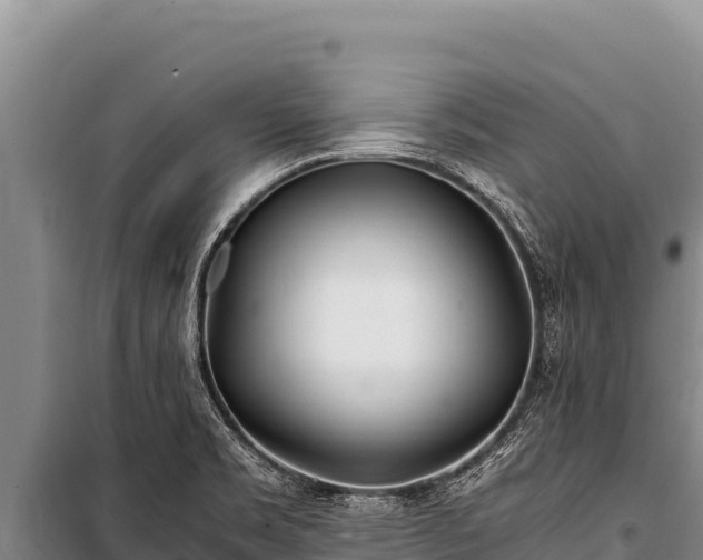 X0000100861469200806271148