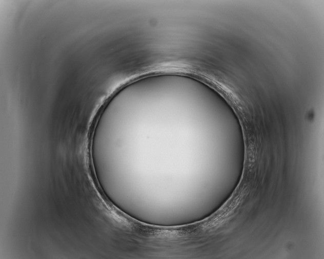 X0000100861470200806271148