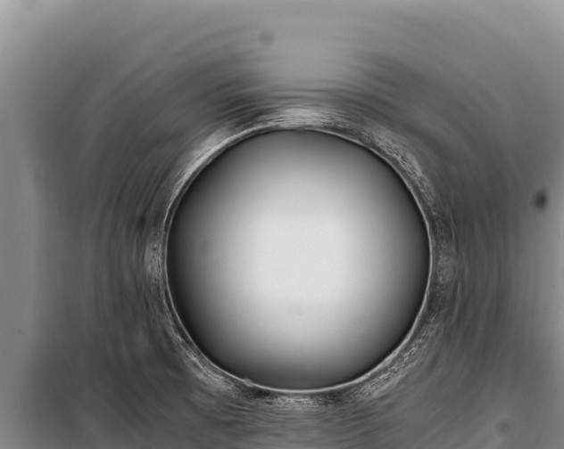 X0000100861473200806271148