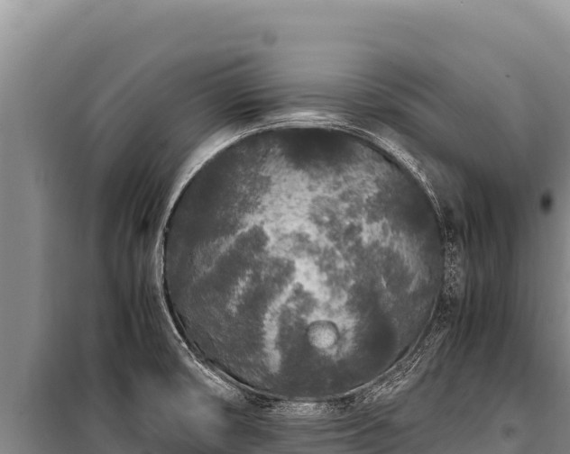 X0000100861474200806271148