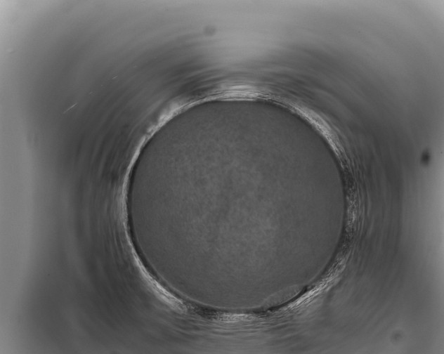 X0000100861475200806271148