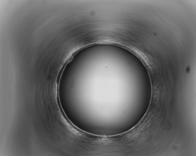 X0000100861476200806271148