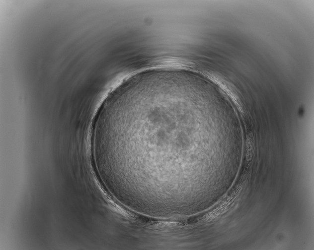 X0000100861477200806271148