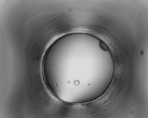 X0000100861478200806271148