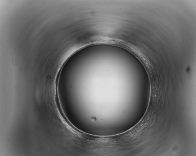 X0000100861479200806271148