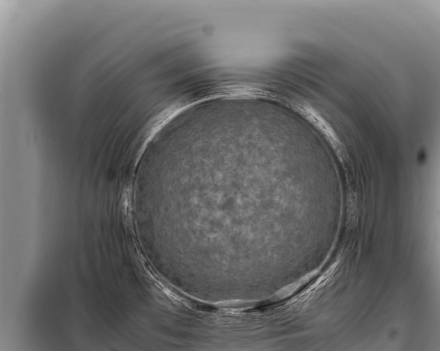 X0000100861481200806271148