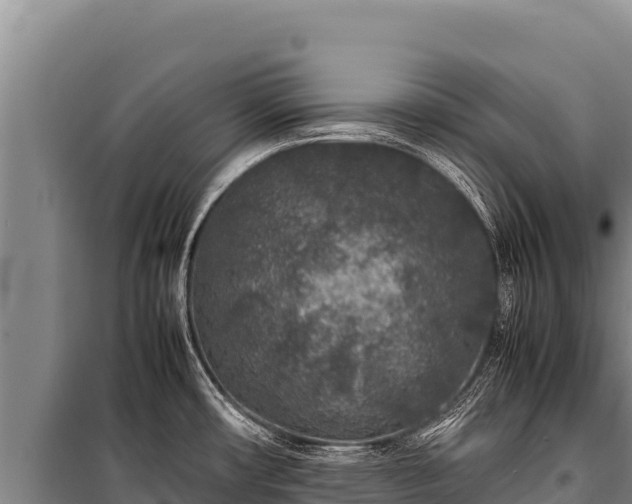 X0000100861482200806271148