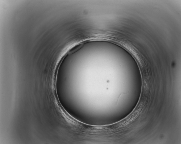 X0000100861485200806271148