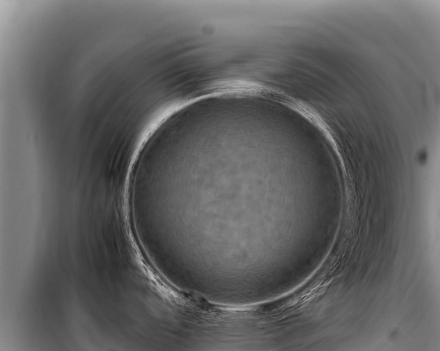 X0000100861488200806271148