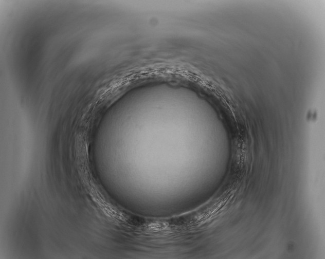 X0000100861489200806271147