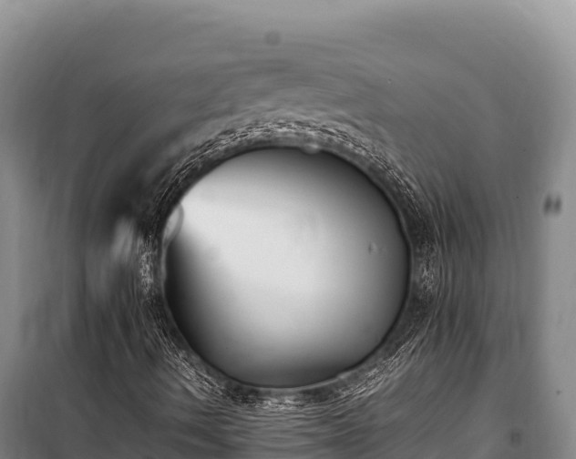 X0000100861490200806271147