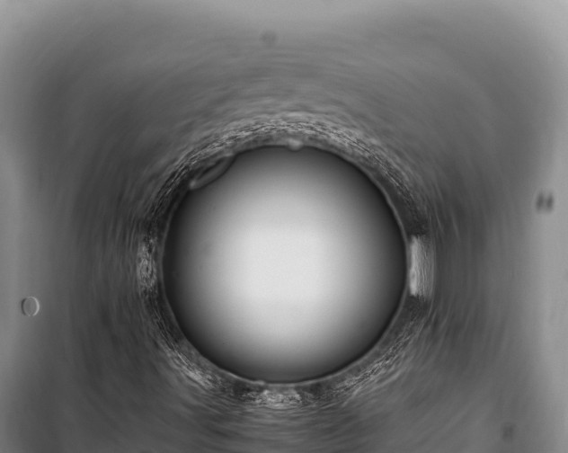 X0000100861491200806271147