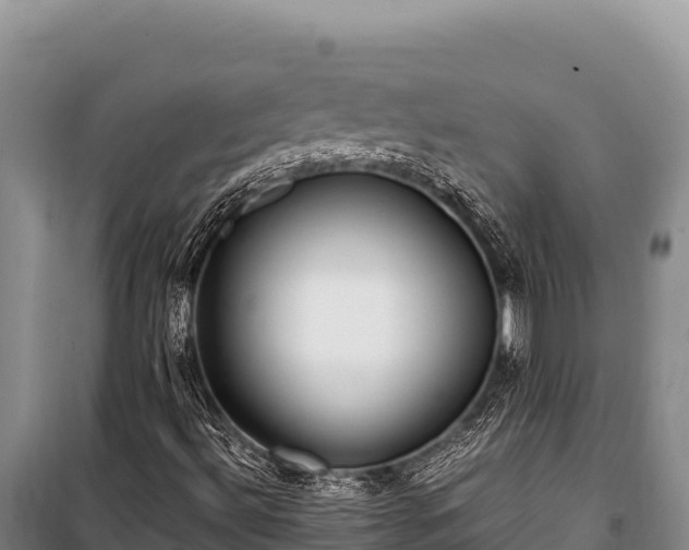 X0000100861492200806271147