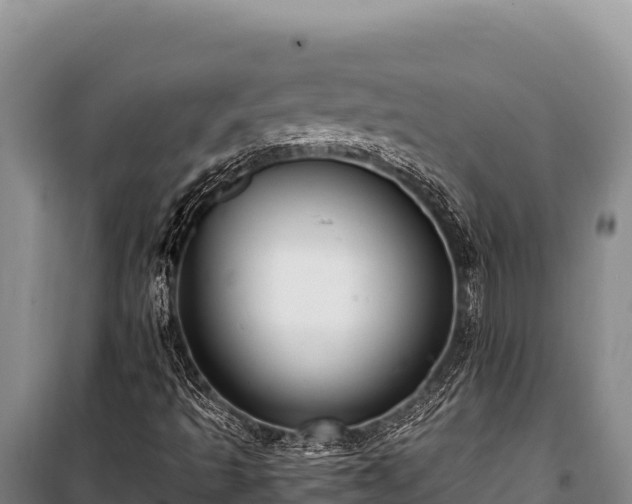 X0000100861493200806271147