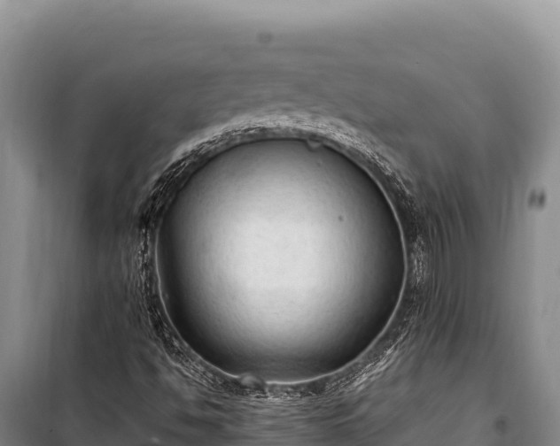 X0000100861494200806271147