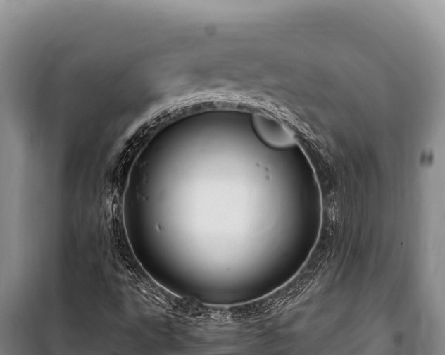 X0000100861495200806271147