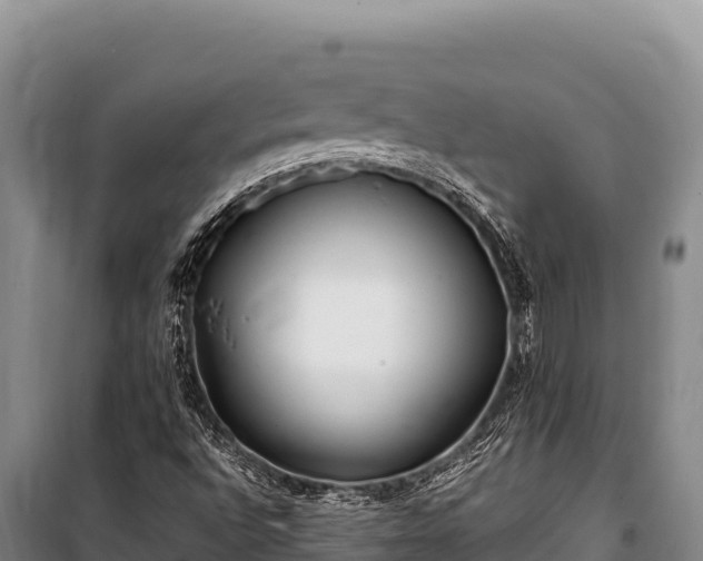 X0000100861496200806271147