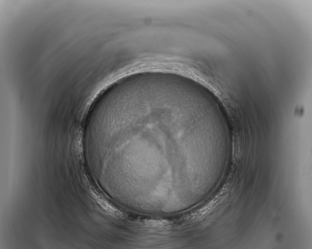 X0000100861498200806271147