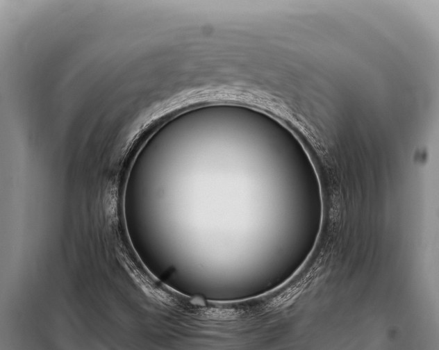 X0000100861499200806271147