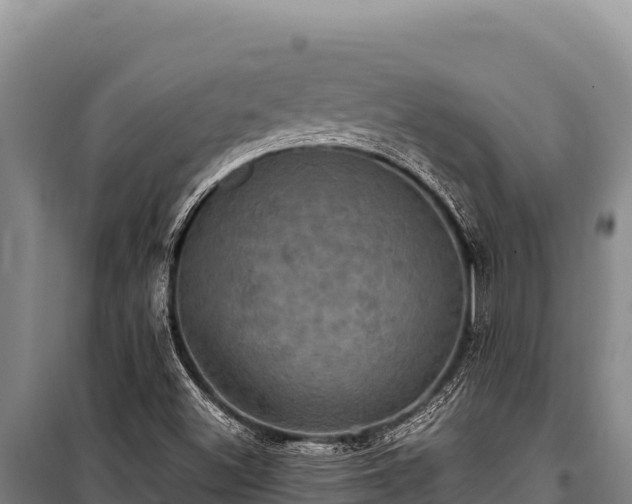 X0000100861500200806271147