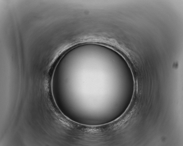 X0000100861501200806271147