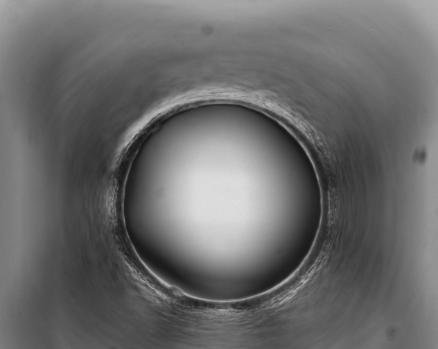 X0000100861502200806271147