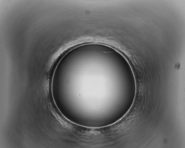 X0000100861503200806271147