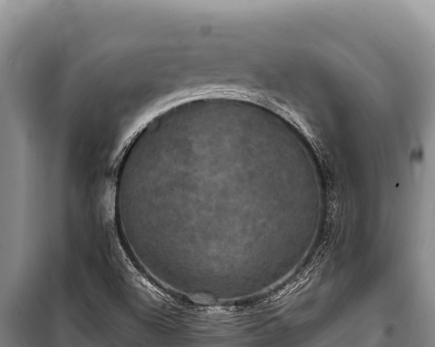 X0000100861504200806271147