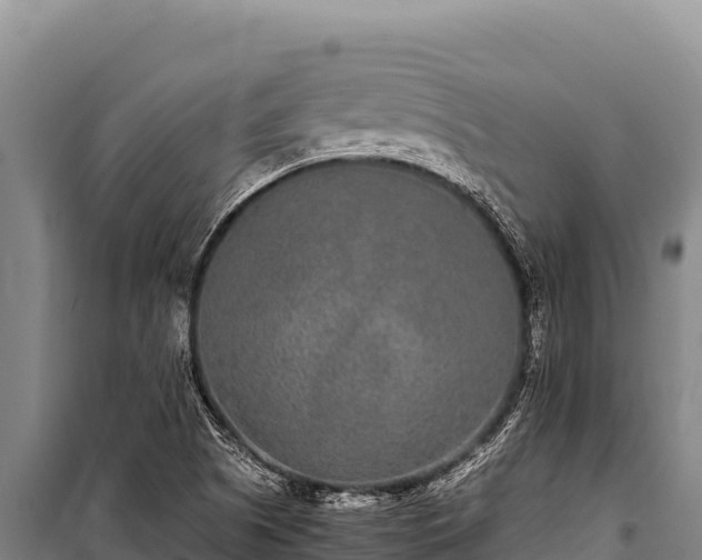 X0000100861505200806271147